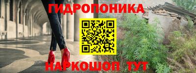 не бодяженный Кингисепп