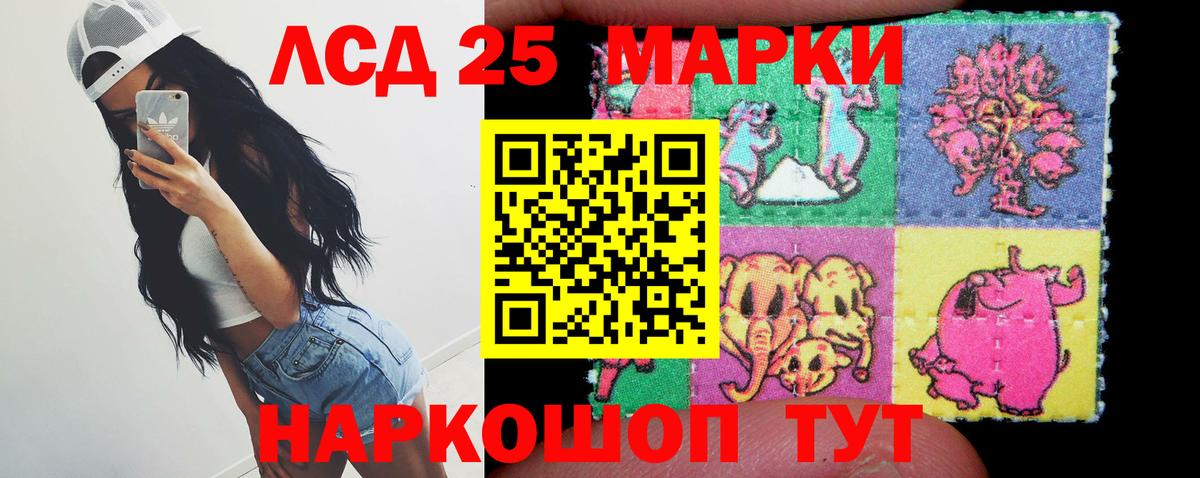блэк спрут зеркало  Вход с VPN  Лсд 25 экстази  Калининград  ЛСД экстази кислота  ЛСД экстази ecstasy 