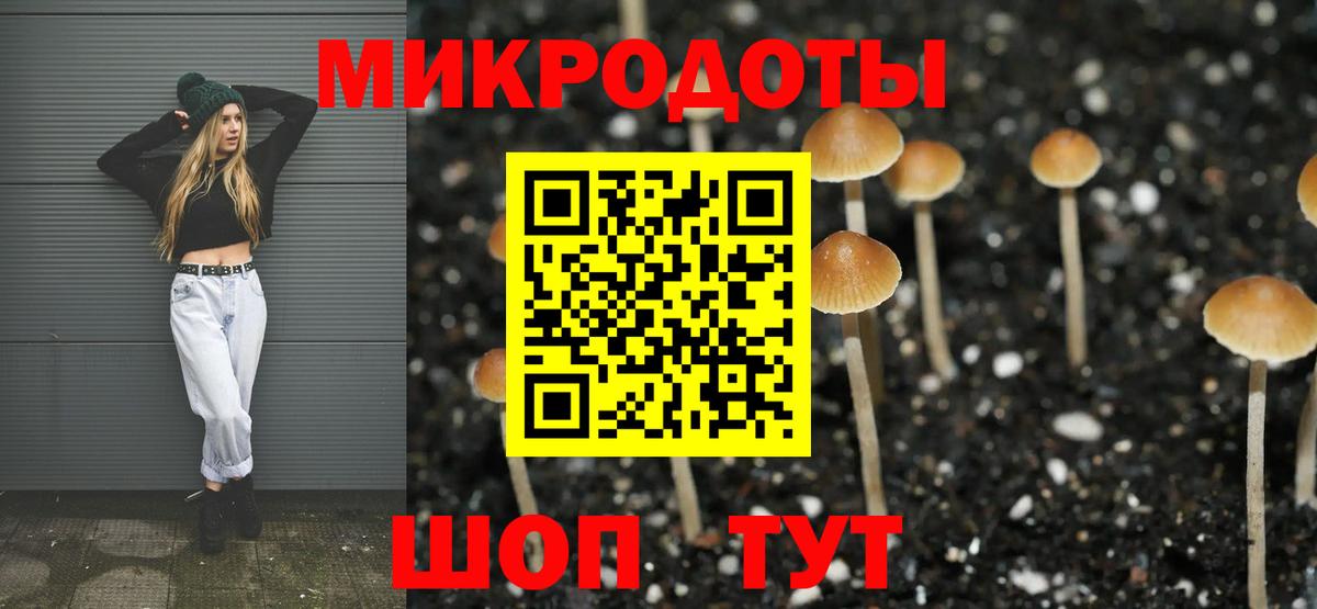Псилоцибиновые грибы мицелий Калининград