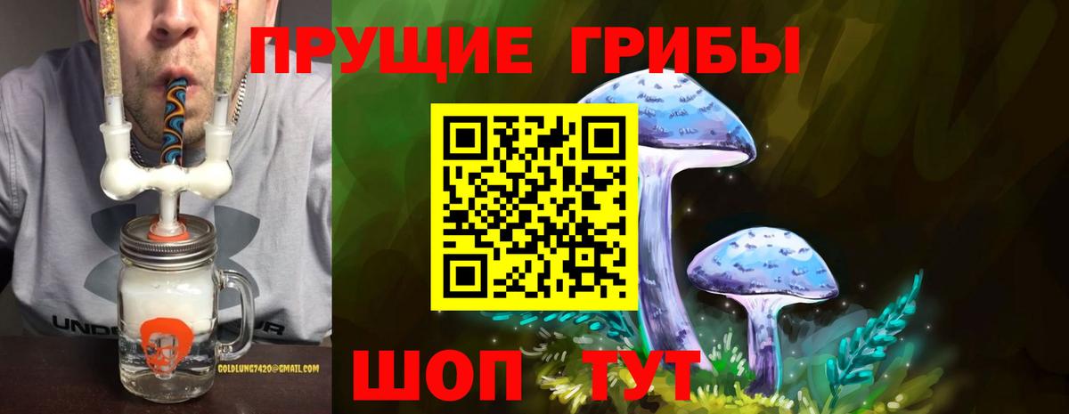 Галлюциногенные грибы GOLDEN TEACHER  Вход с VPN  Калининград  Псилоцибиновые грибы Magic Shrooms 